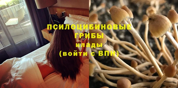 не бодяженный Абаза