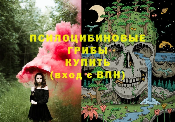 прущие грибы Алексеевка