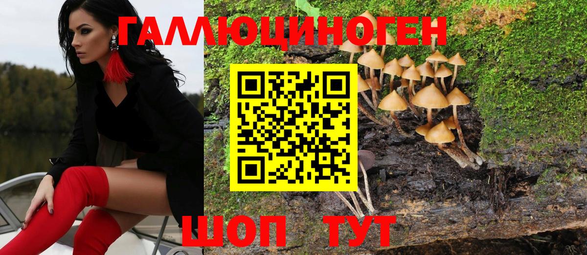 Галлюциногенные грибы Psilocybe Омск